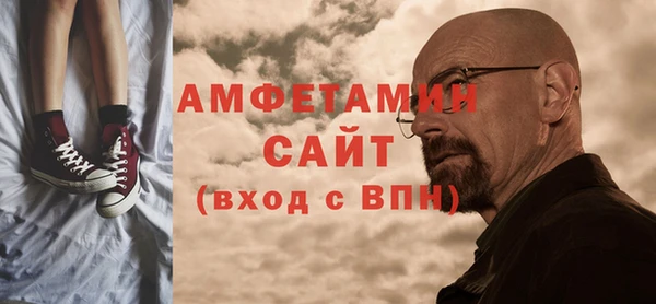 стаф Алзамай