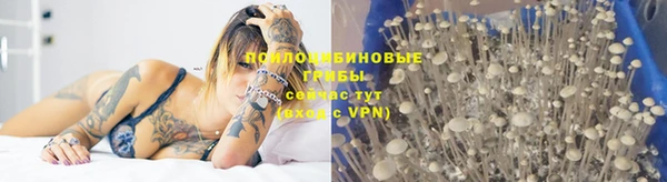 каннабис Алексин