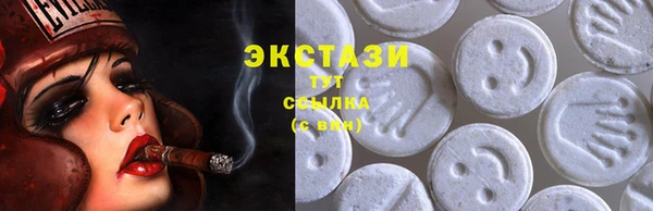 стаф Алзамай