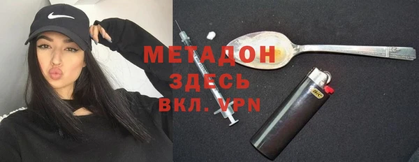 стаф Алзамай