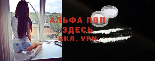 стаф Алзамай