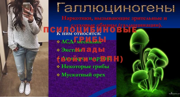 стаф Алзамай