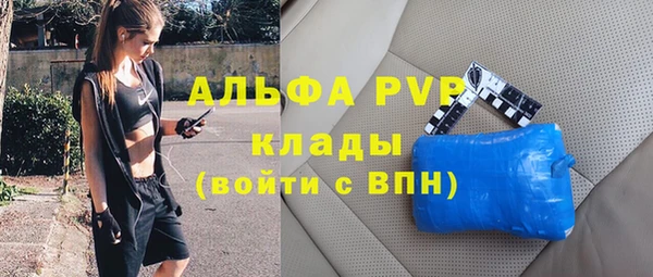 стаф Алзамай