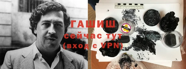стаф Алзамай